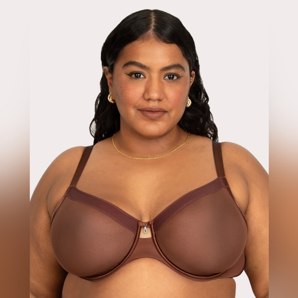Curvey Couture Sheer Mesh Full Coverage Unlined Underwire Bra Size 34DDD NEW